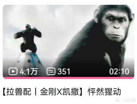 我很多年前剪过一个金刚X凯撒的拉郎，ok拉兽。讲金刚被人从森林抓去马戏团，凯撒带