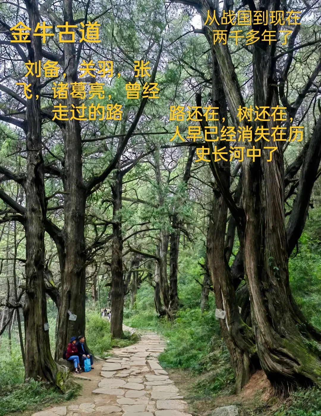 金牛古道又名金牛道、石牛道、剑门蜀道，是古蜀道的主干线，二千多年前巴蜀...