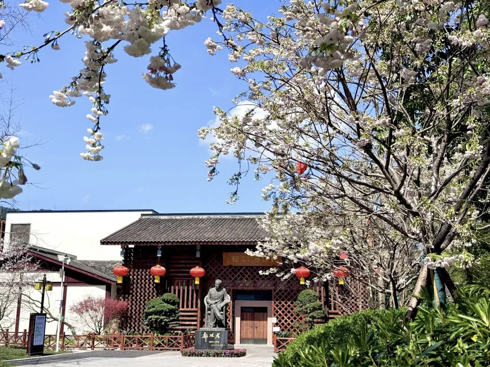 🌈朋友们早上好❤美好的一天又开始了 2026路边的樱花开了又落，日子一天天向前