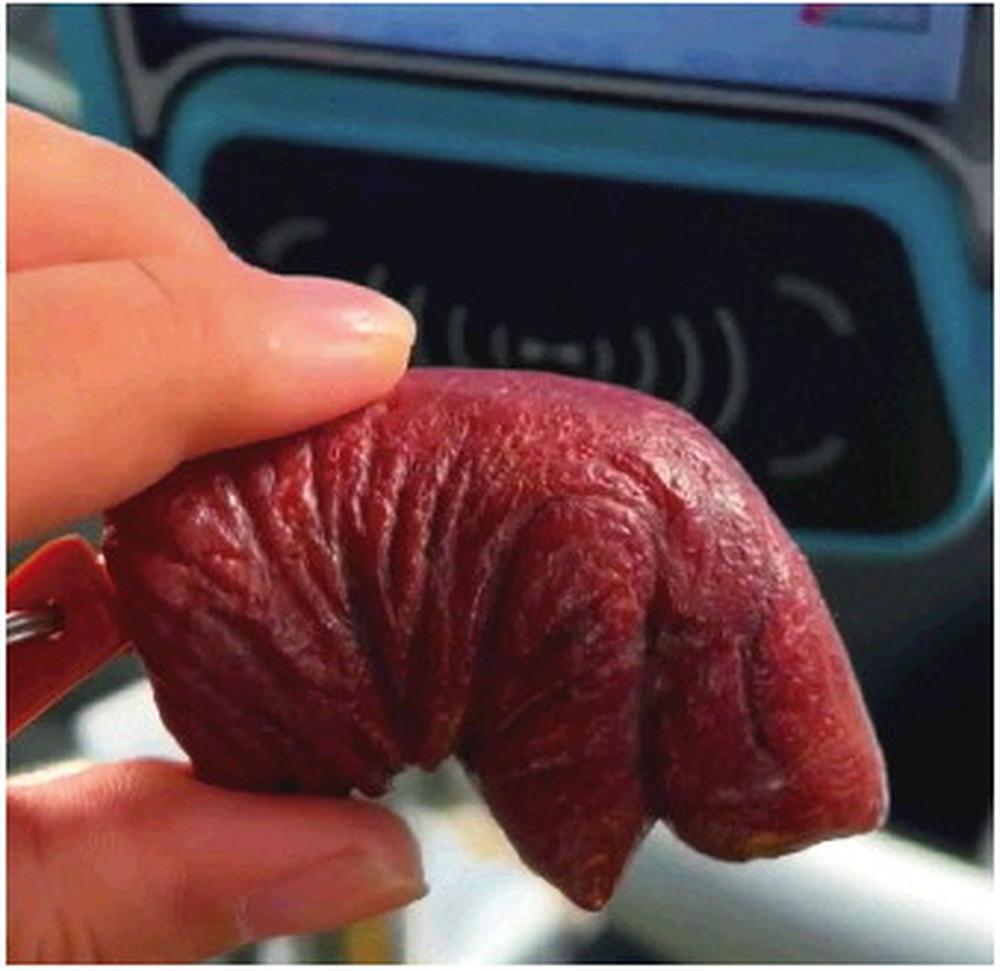 继“把子肉”与“油旋”造型公交乘车卡成功破圈之后，济南公交再次“跨界”，联合百年