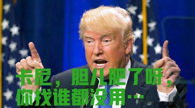 加拿大与英国法国的关系都很好，现在特朗普想吞并加拿大，分裂英国，削弱法国，使英法