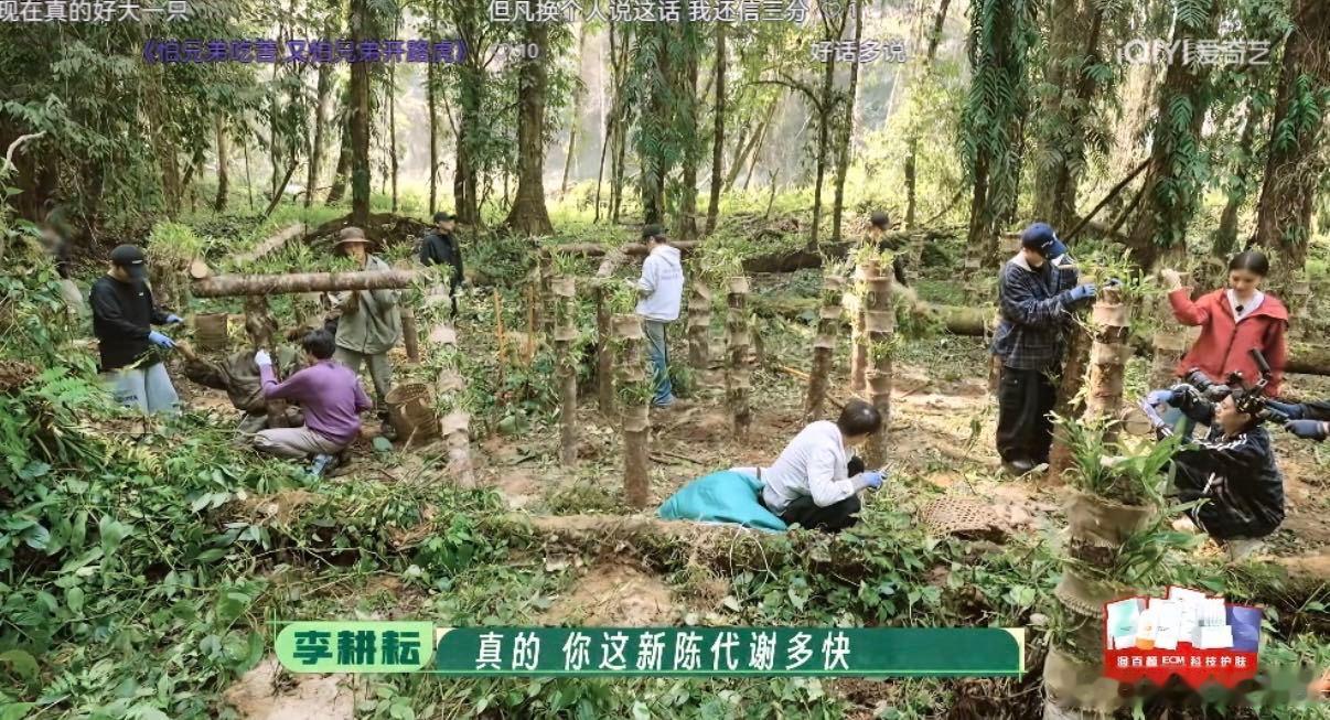 一听陈少熙要减肥十个勤天不舒服了 种地吧 谁能躲过十个勤天的搞笑日常，李耕耘为了