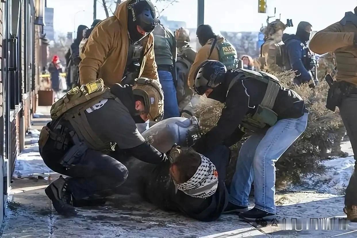 为退伍军人奉献一生的护士，在抗议现场倒下，明尼苏达州ICU护士亚历克斯·普雷蒂被