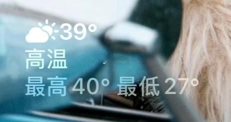 四川你啥意思