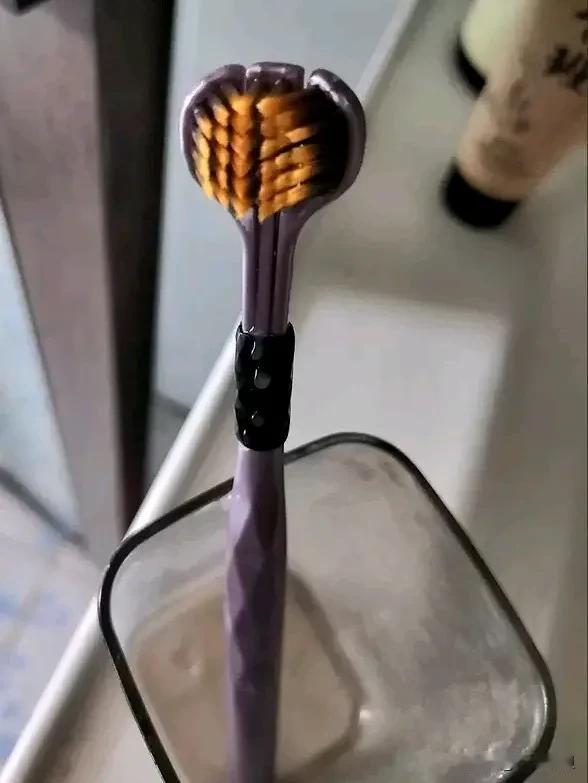 早餐鸡蛋、玉米，一杯奶，
中午鸡蛋，一杯麦片，
晚饭洋芋、韭黄炒肉。
说好好好吃