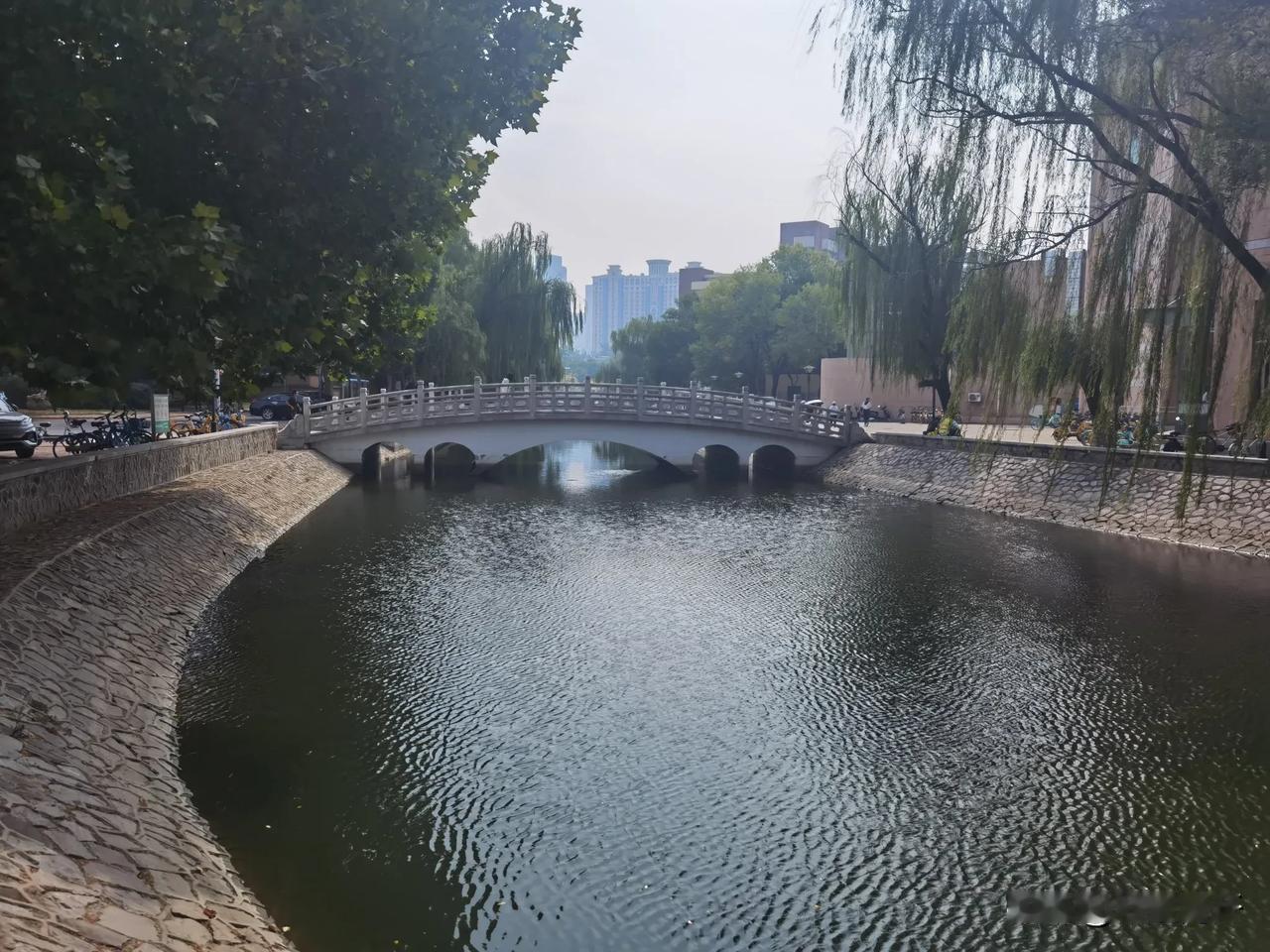 南开大学校园早秋