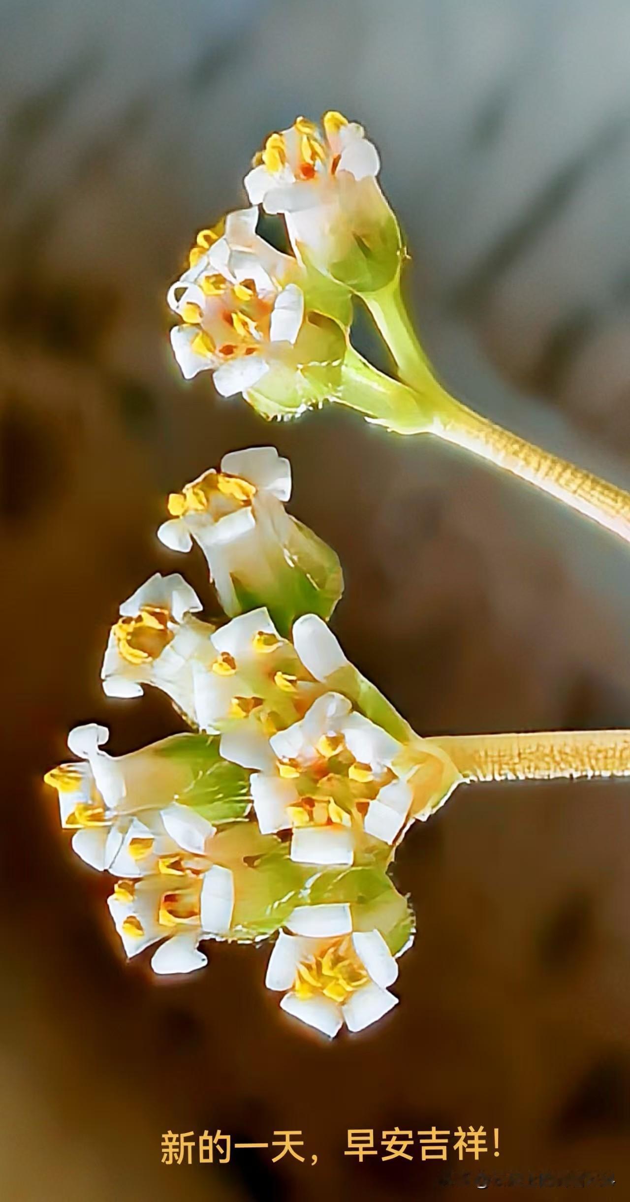 上联：贫在闹市无人问，下联怎么对富在深山有远亲