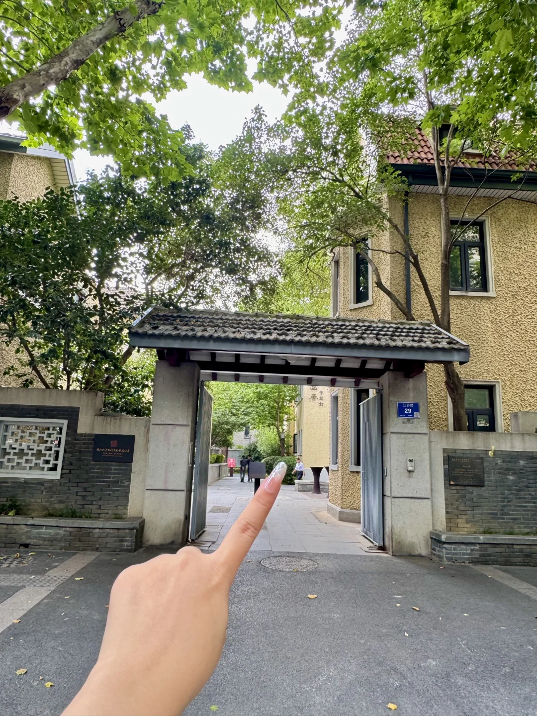 南京颐和路！！花的zui值的一笔🥂