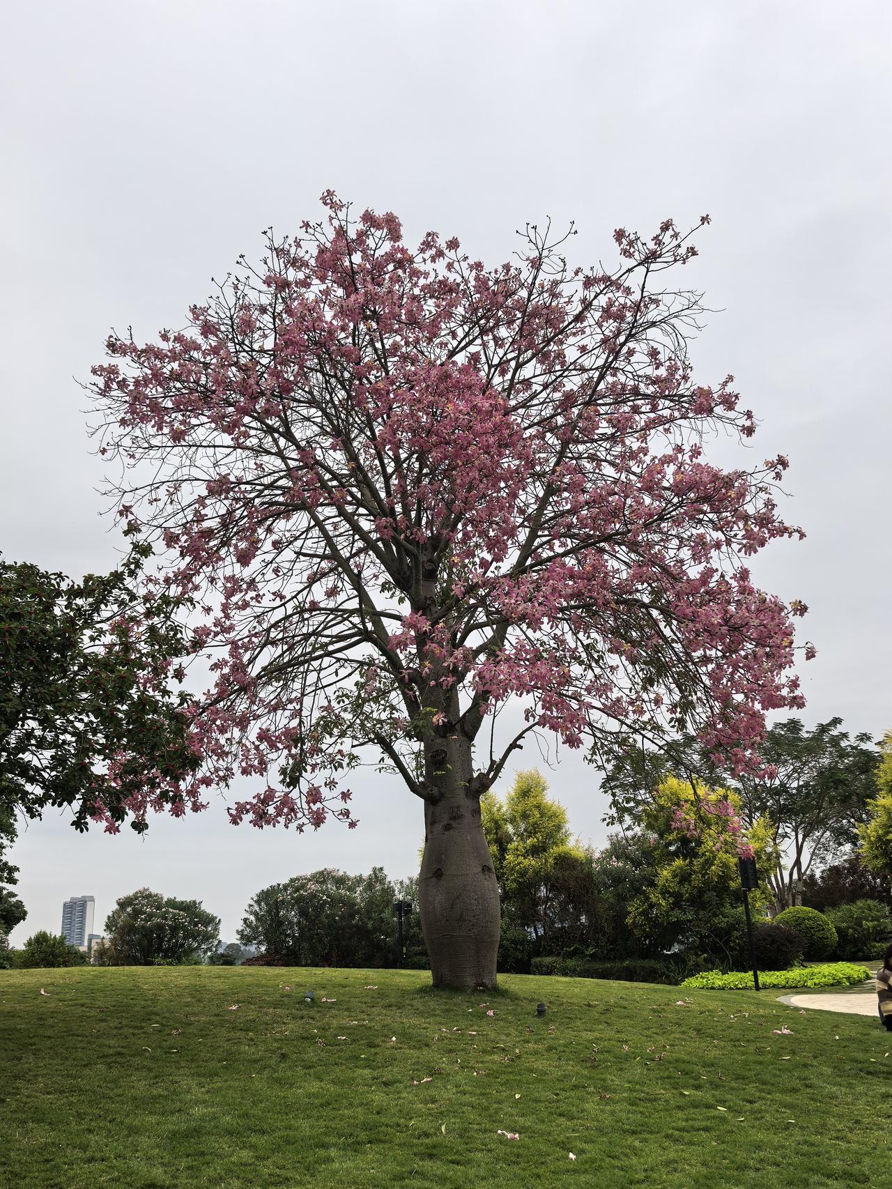 冬日生活打卡季冬日随手拍