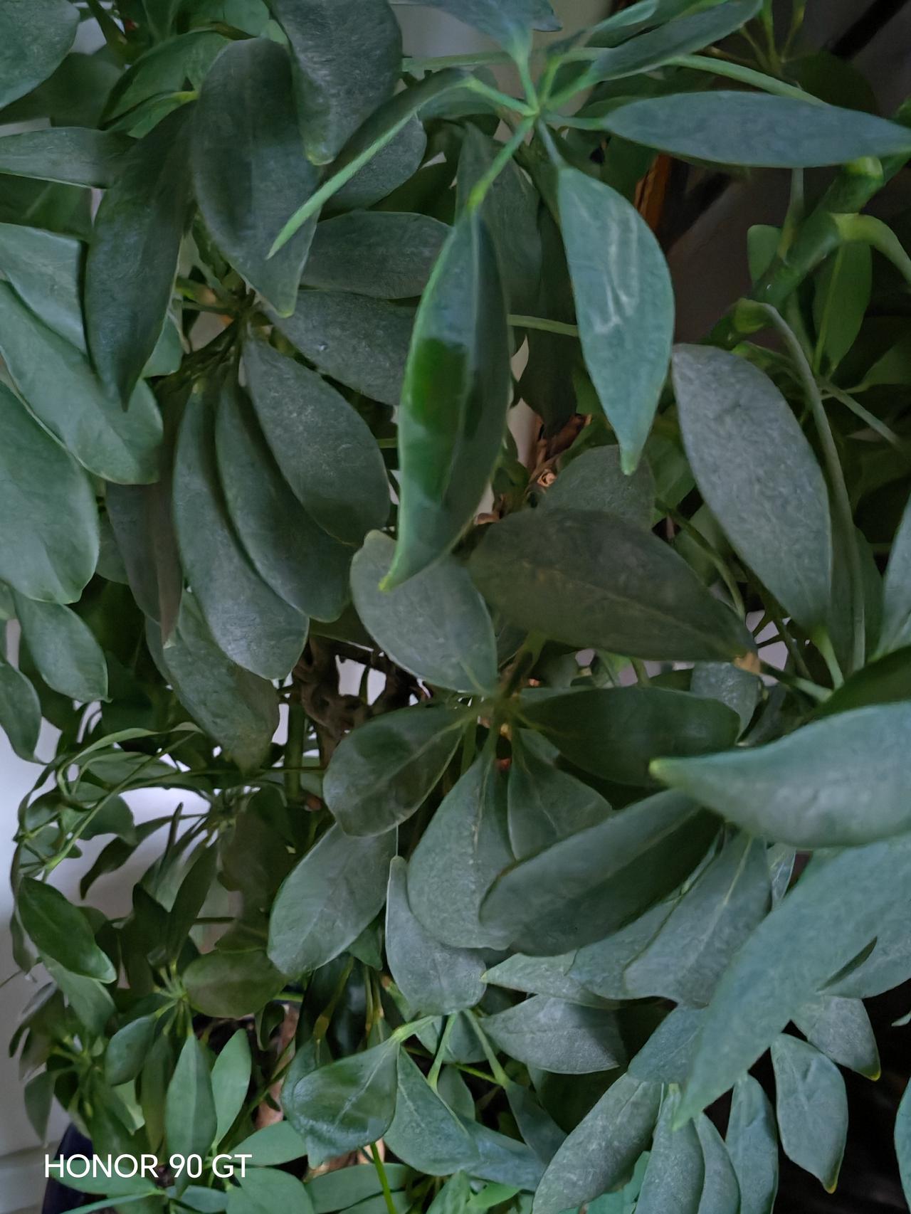 春天花会开，
快乐每一天。