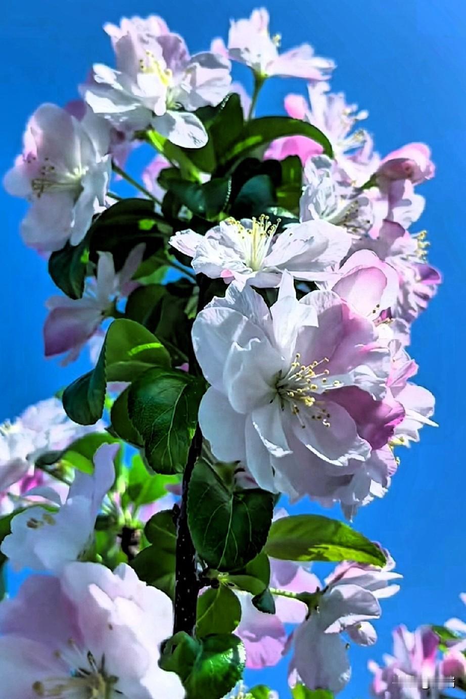 不知道是谁说的这段话，太清醒了。

“人一定要疯狂爱上什么东西，才不至于被这无趣