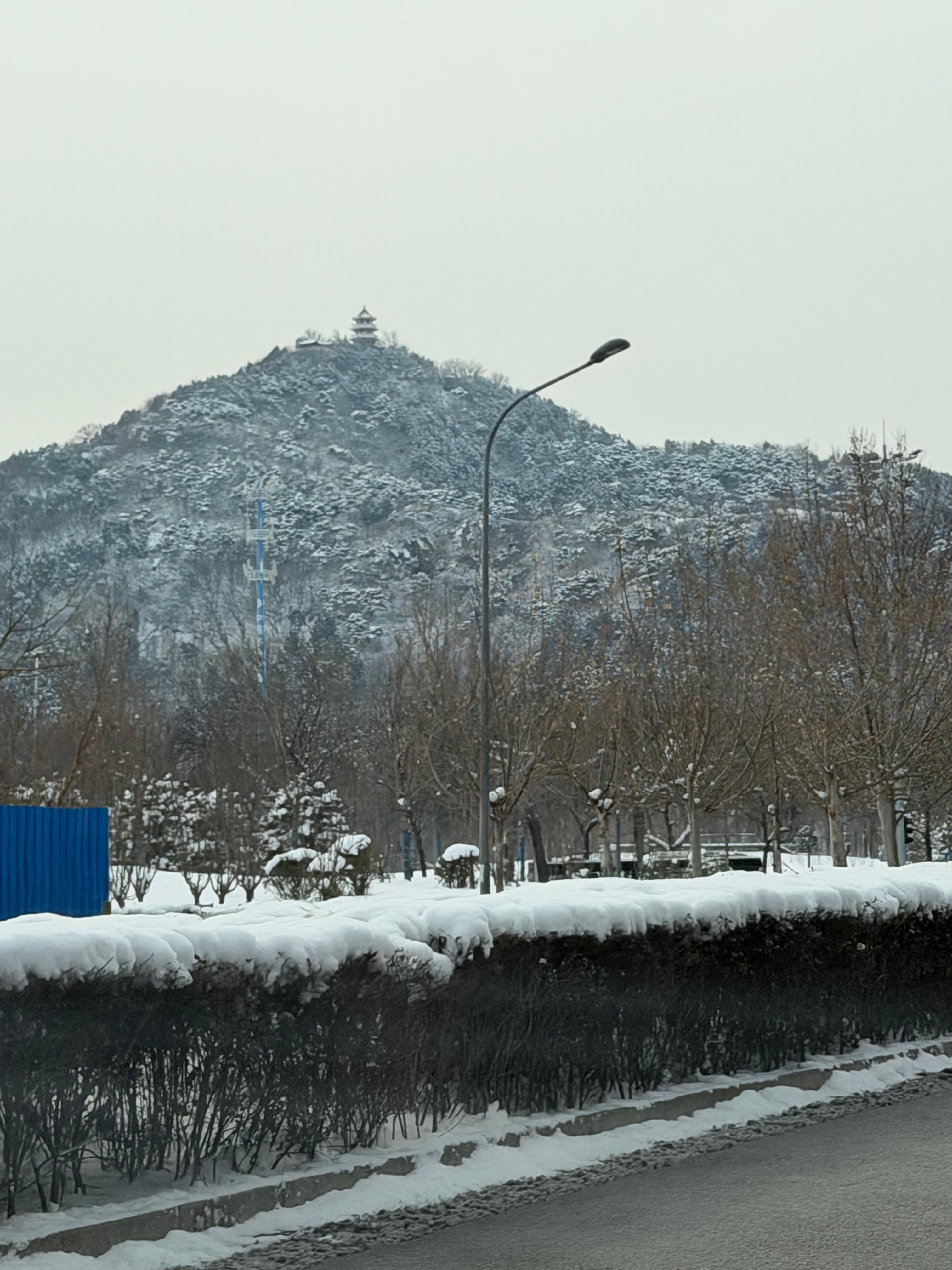 你还别说，还挺好看。 北京·西北旺