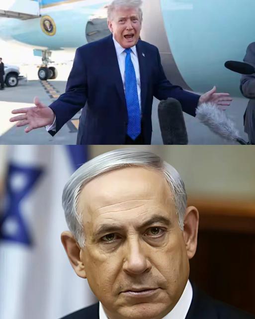 人类历史最终会证明，特朗普和內胡干了人类历史上最愚蠢的事情之一！我把话放在这里，