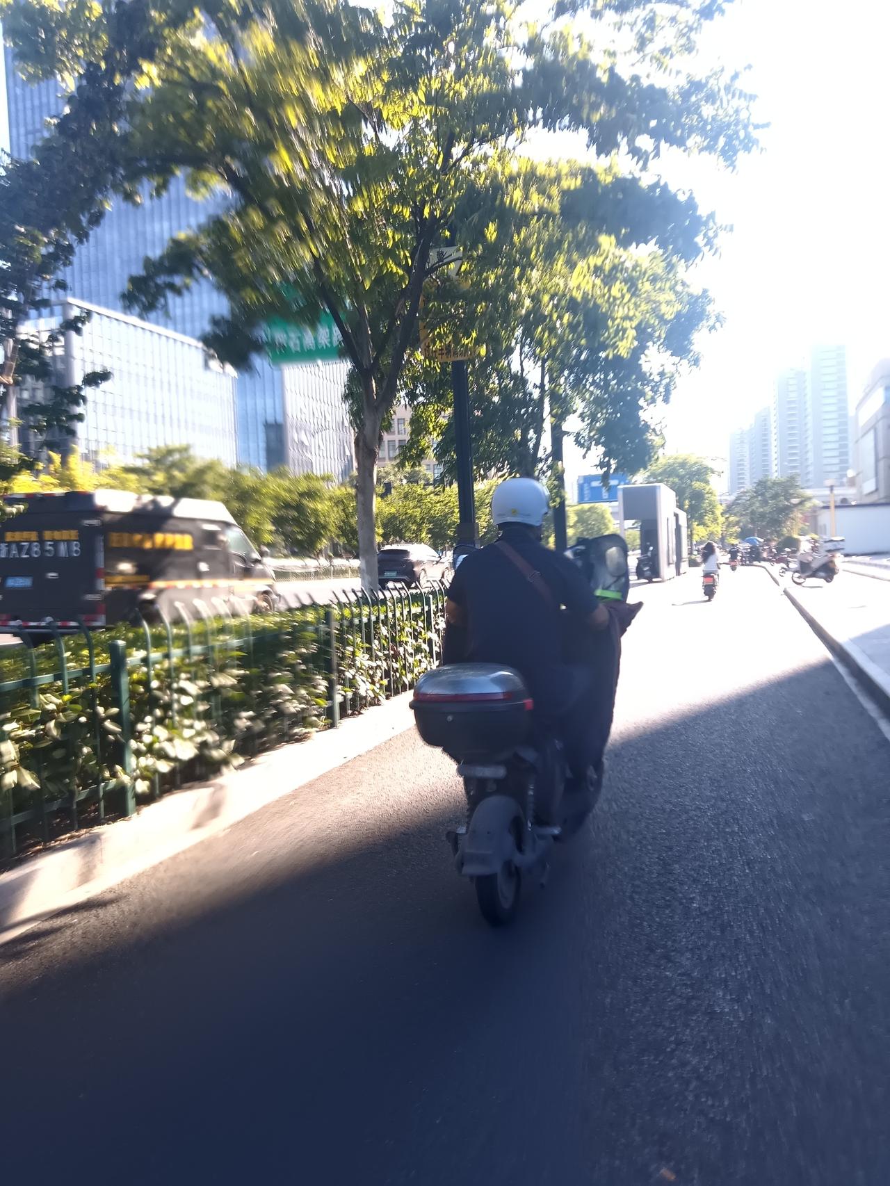生活最重要的是什么？在这牛马人生里，我觉得是心态。就像我前阵子工作，天天加班，累