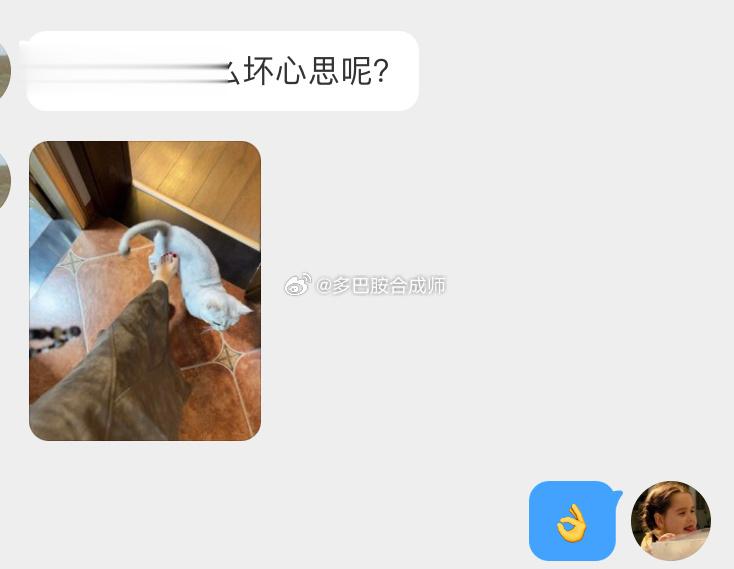 小猫能有什么坏心思呢？ ​​​