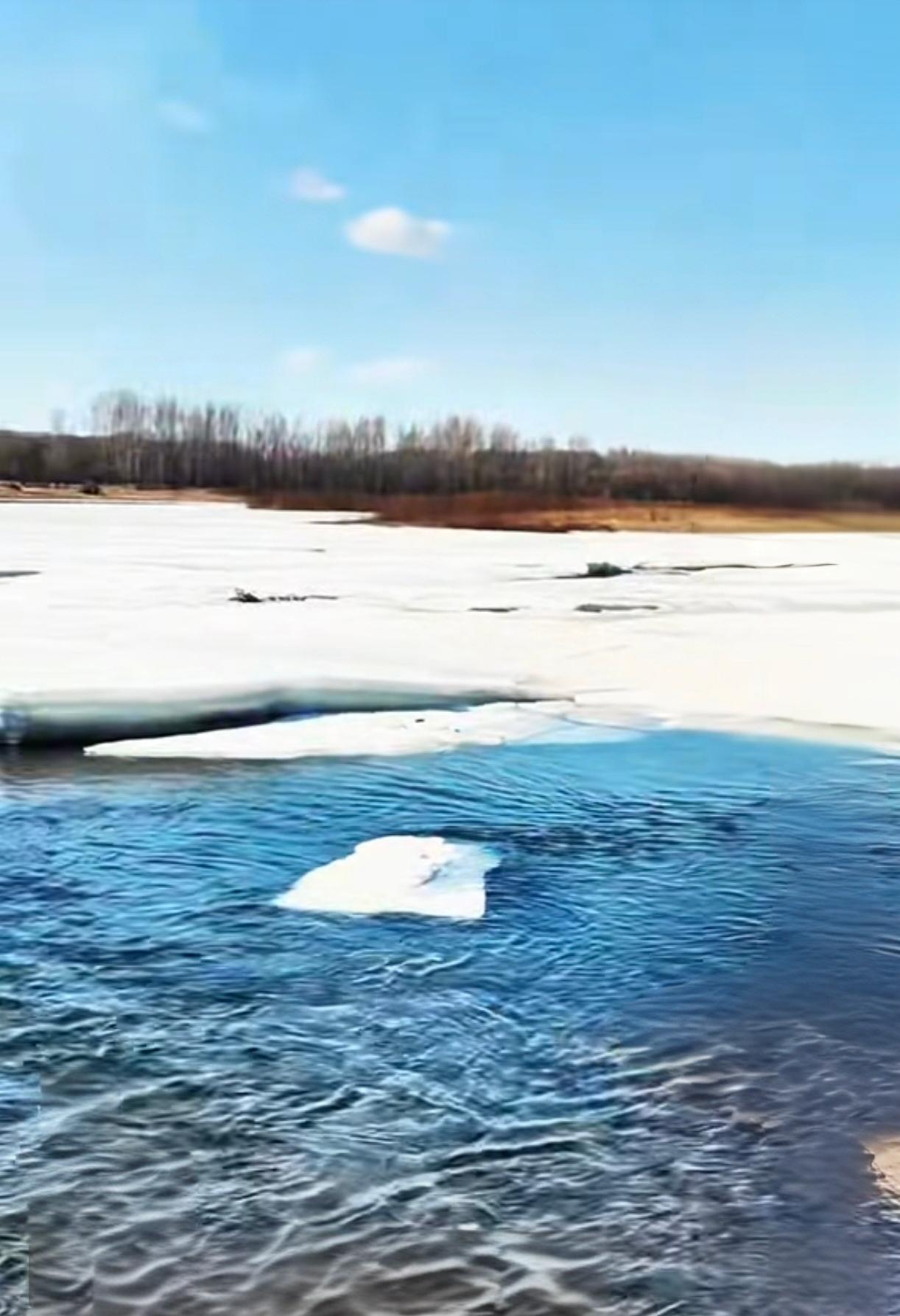 今日网传小老乡张雪峰过劳了～

不知真假。
嗨，不论网络名人还是科技打工人，看似