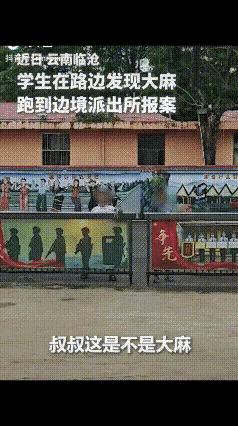 “警察叔叔，这是大麻吗？”云南云仓，两名男孩手拿着植物叶子到边境派出所报案，民警