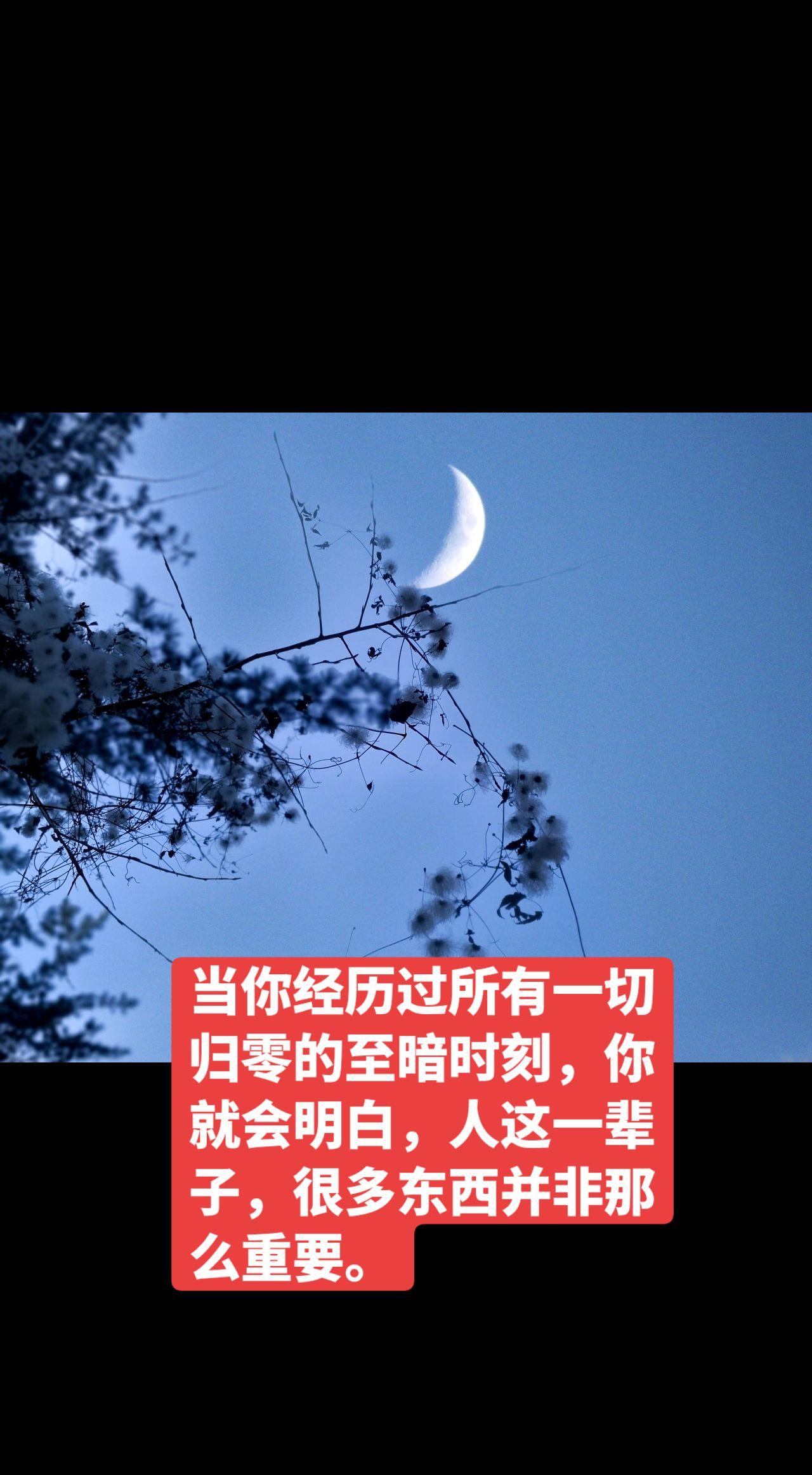 半边月圆，一半清辉一半眠。
遥寄相思千万缕，静待良辰月满弦。