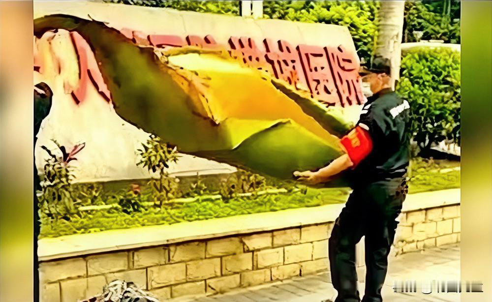 一片树叶砸出十级伤残！

珠海，一名女子在小区正常散步，
被大王椰树上掉下来的枯