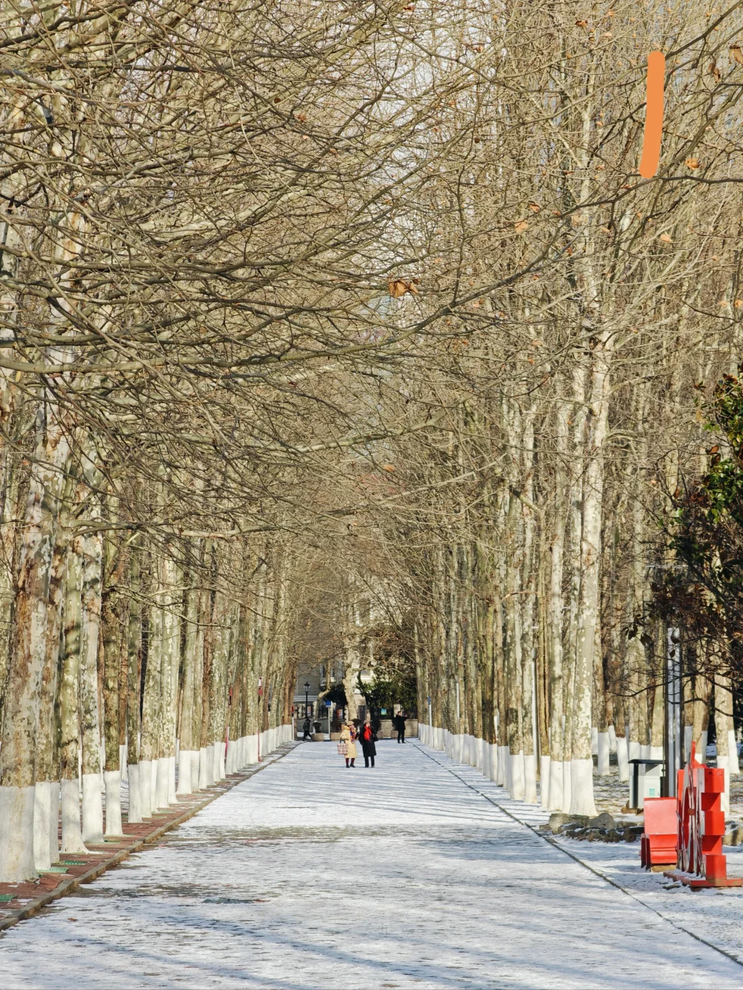 青岛爱情路 感受12个月的一路变迁