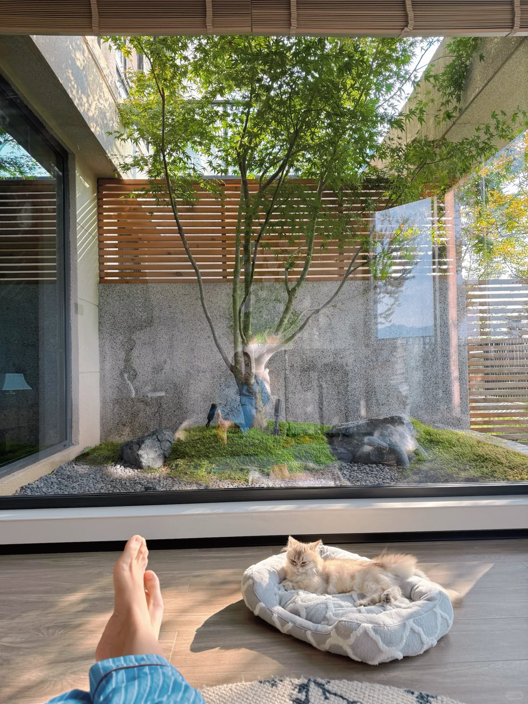 入秋了｜窗外是风景🌳窗内才是家🏡