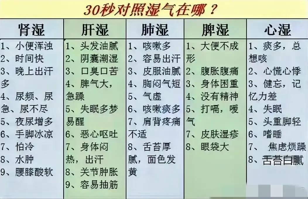 30秒对照湿气在哪？一个中成药调理五脏湿气，让你健康无忧

在快节奏的现代生活中