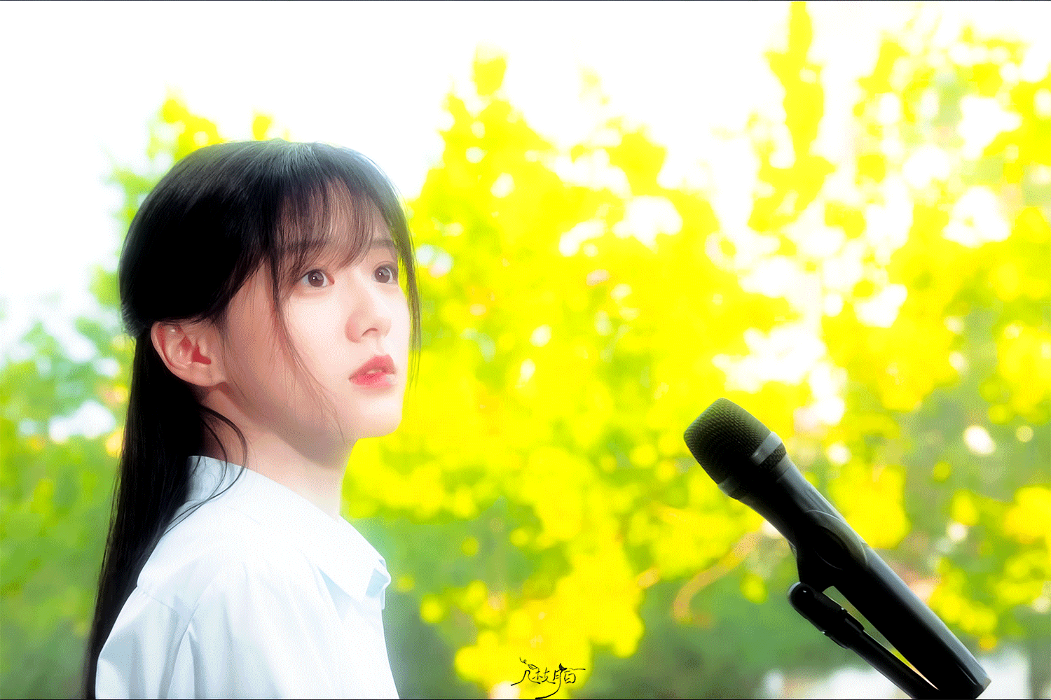 萌之萌之炽夏