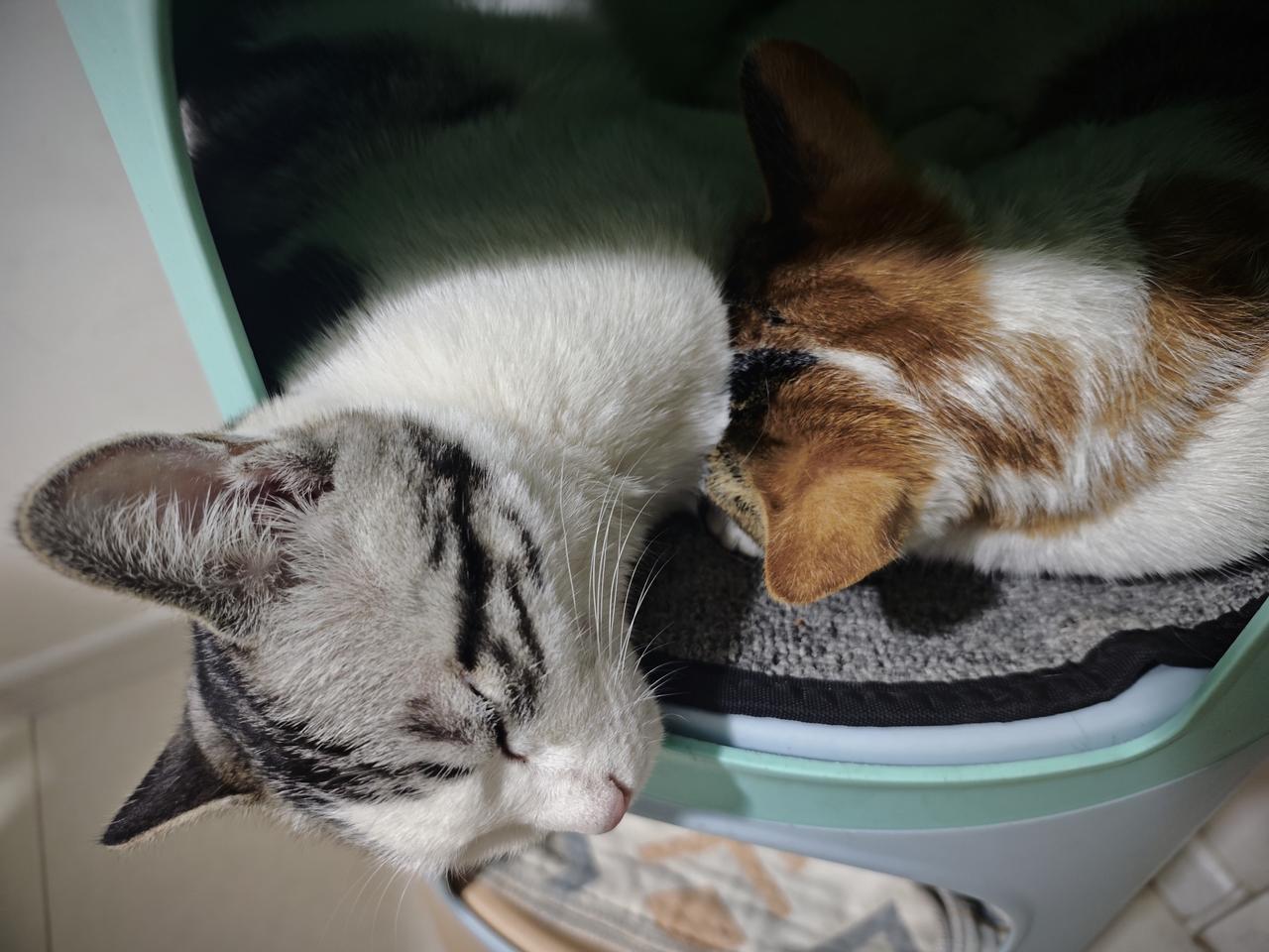 千万不要惹女人，因为你不知道觉醒的她会有多疯。[捂脸]昨天跟一个姐们吃饭，从来不