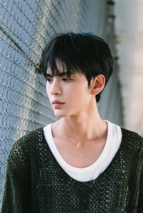 毕雯珺也有自己的小镇文学 青石板缝隙里长出的青苔，都比不过李靳屿眼底的绿意绵长。