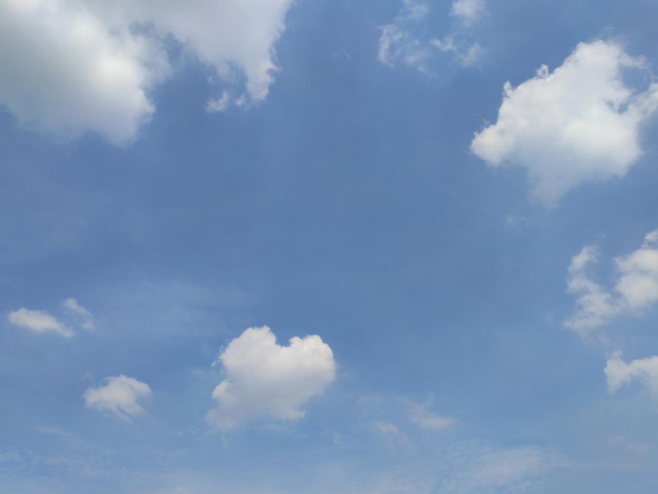 5分享城市新鲜事
立秋了，这温度终于降下去了。
虽然中午还是高温，早晚却透着一丝