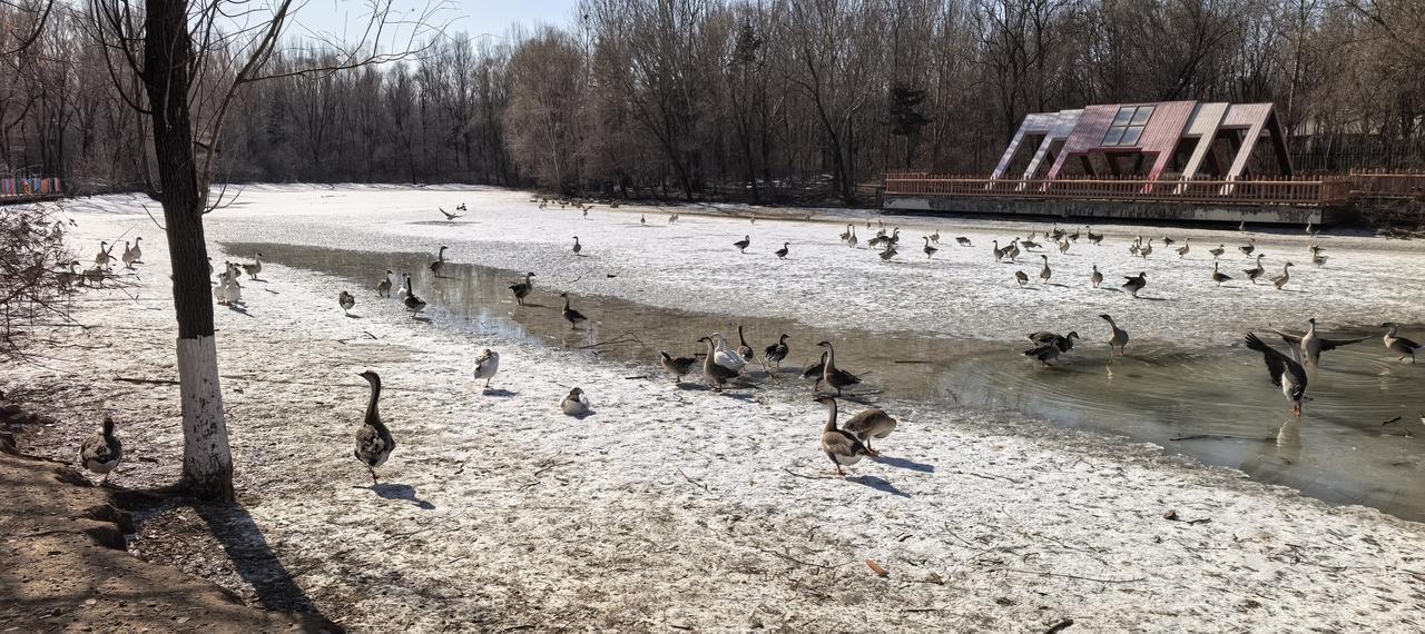 发一张图片，让我猜出你在哪里拍的