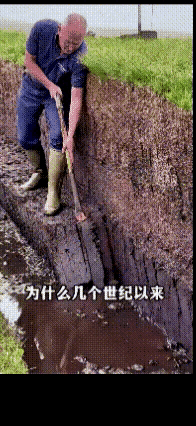 这是真的还是假的？