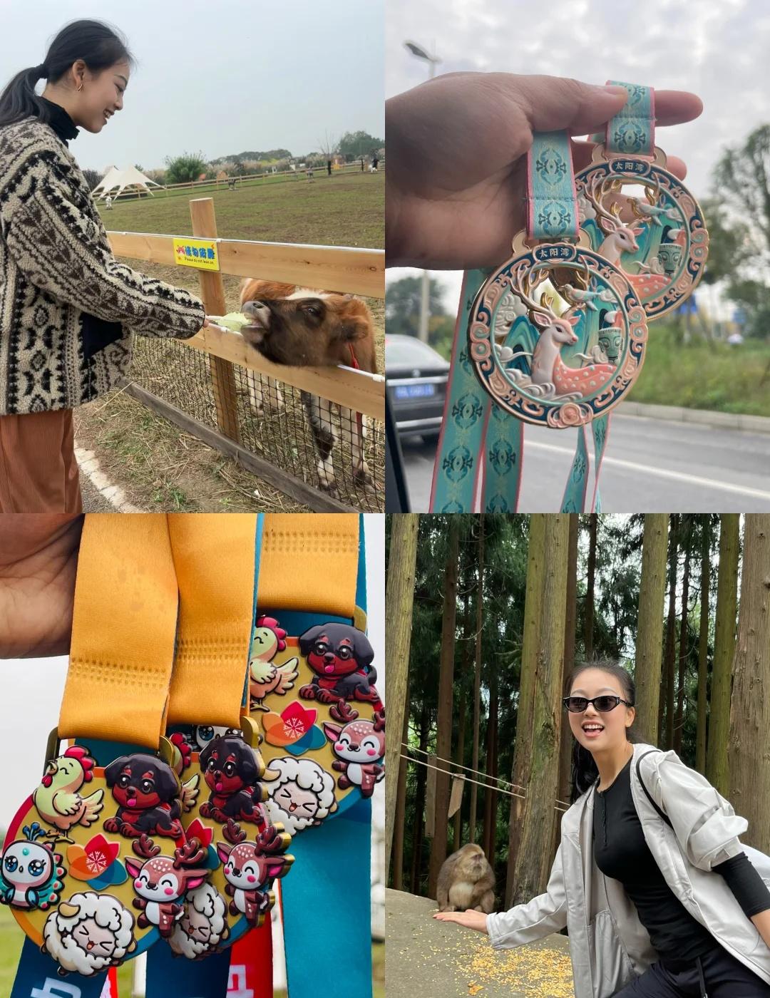 11.13-14｜太阳湾➕蔚然花海（奖牌版
奖牌期待选手在这个中小学放秋假的时间