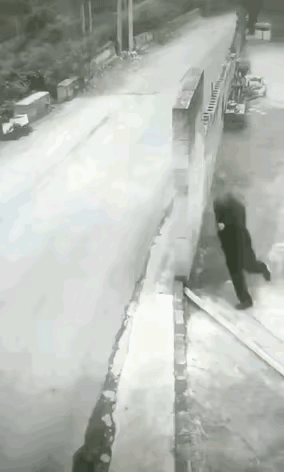 这是三胞胎吗？