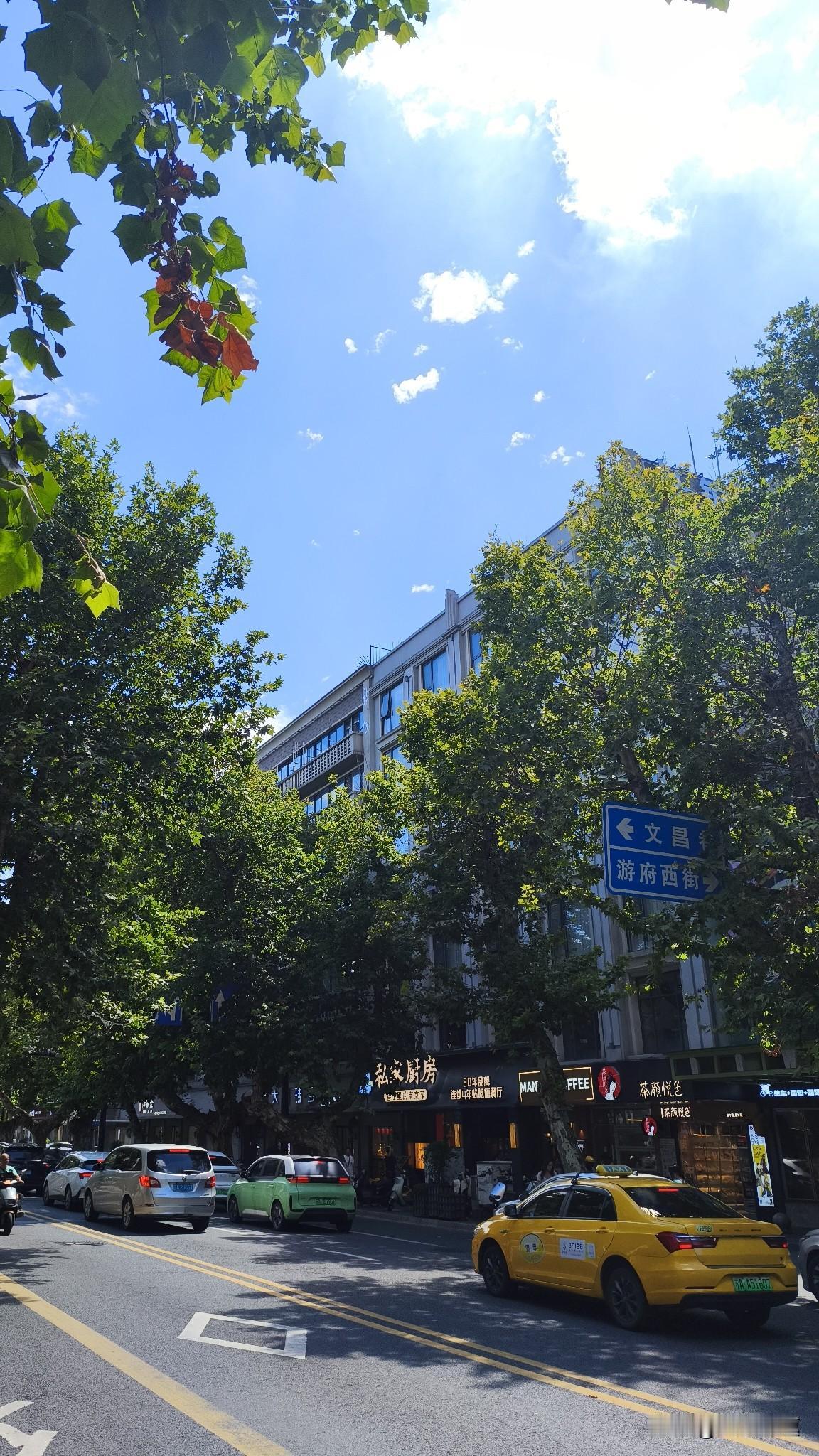 今天在南京，抬头就能看到那万里无云的天空，蓝得纯粹又热烈。不过这好天气可没带来好