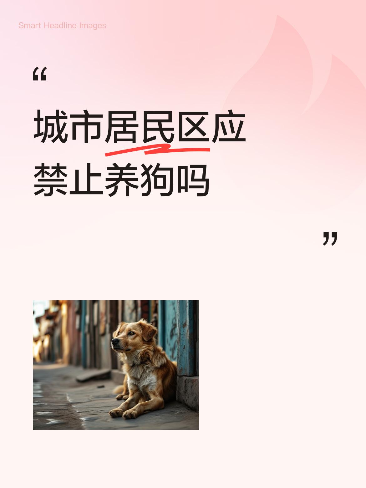 城市居民区应禁止养狗吗是的，如果不禁止养狗，任何措施都白费