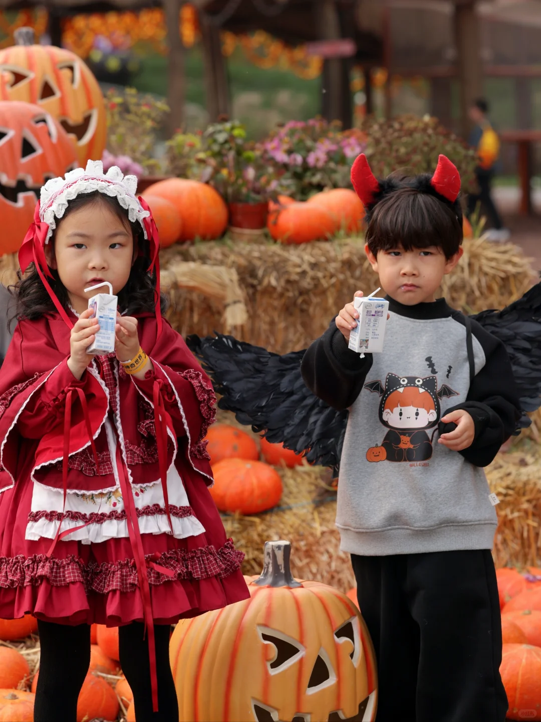 捣蛋鬼出没，朋友一起，快乐加倍