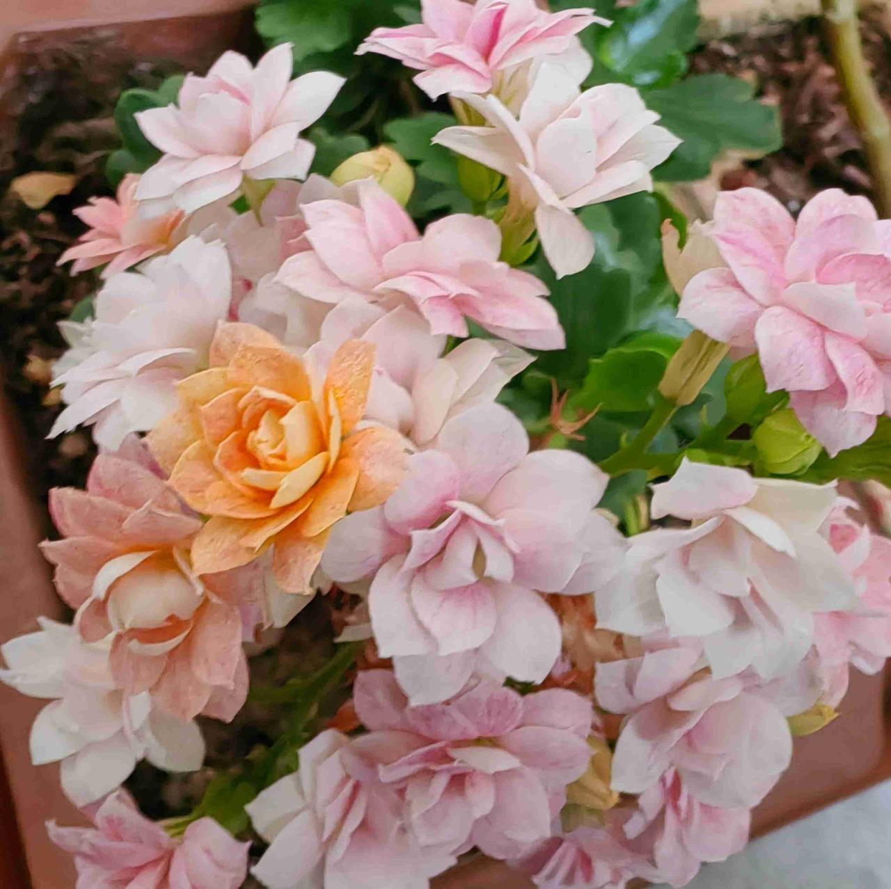 我的今日状态：😁轻松愉快
我这里的天气：☀️晴天