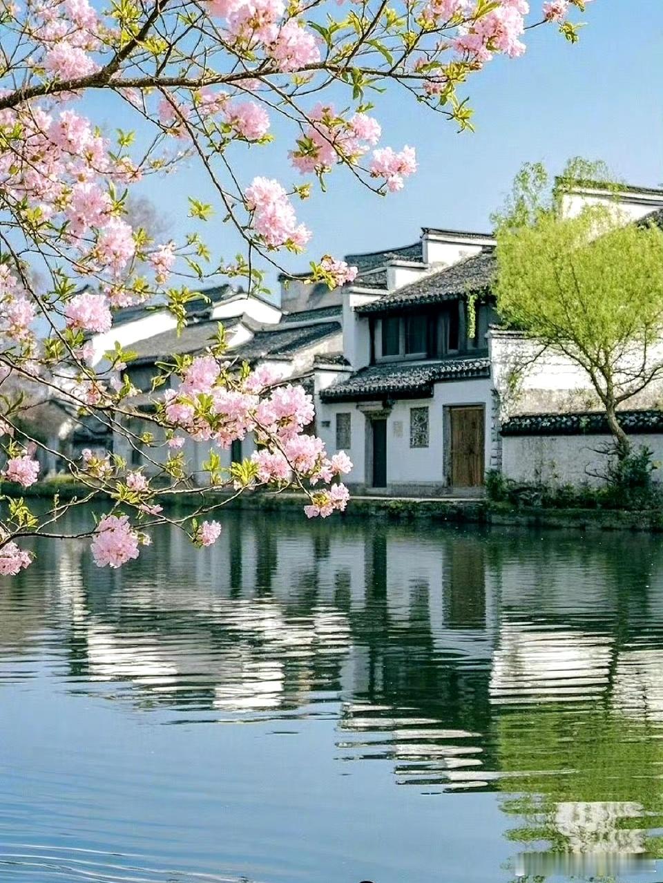 早安[超话]早安 向上开花， 向下生根。早安[微风][微风] ​​​