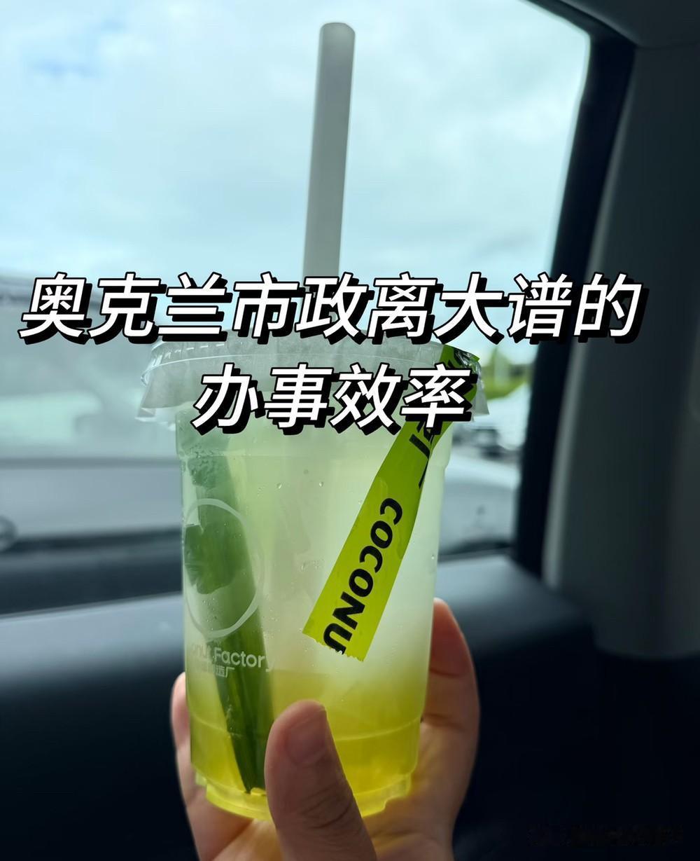 吐槽国外工作效率极慢的一件事，是女儿公司老板家真实发生的事情，目前状态是正在进行
