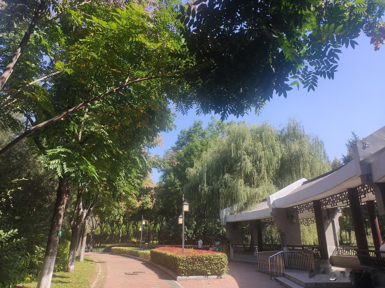平时不放假，想放假。
假期最合适的放松方式就是带孩子找个风和日丽山明水秀的地方露