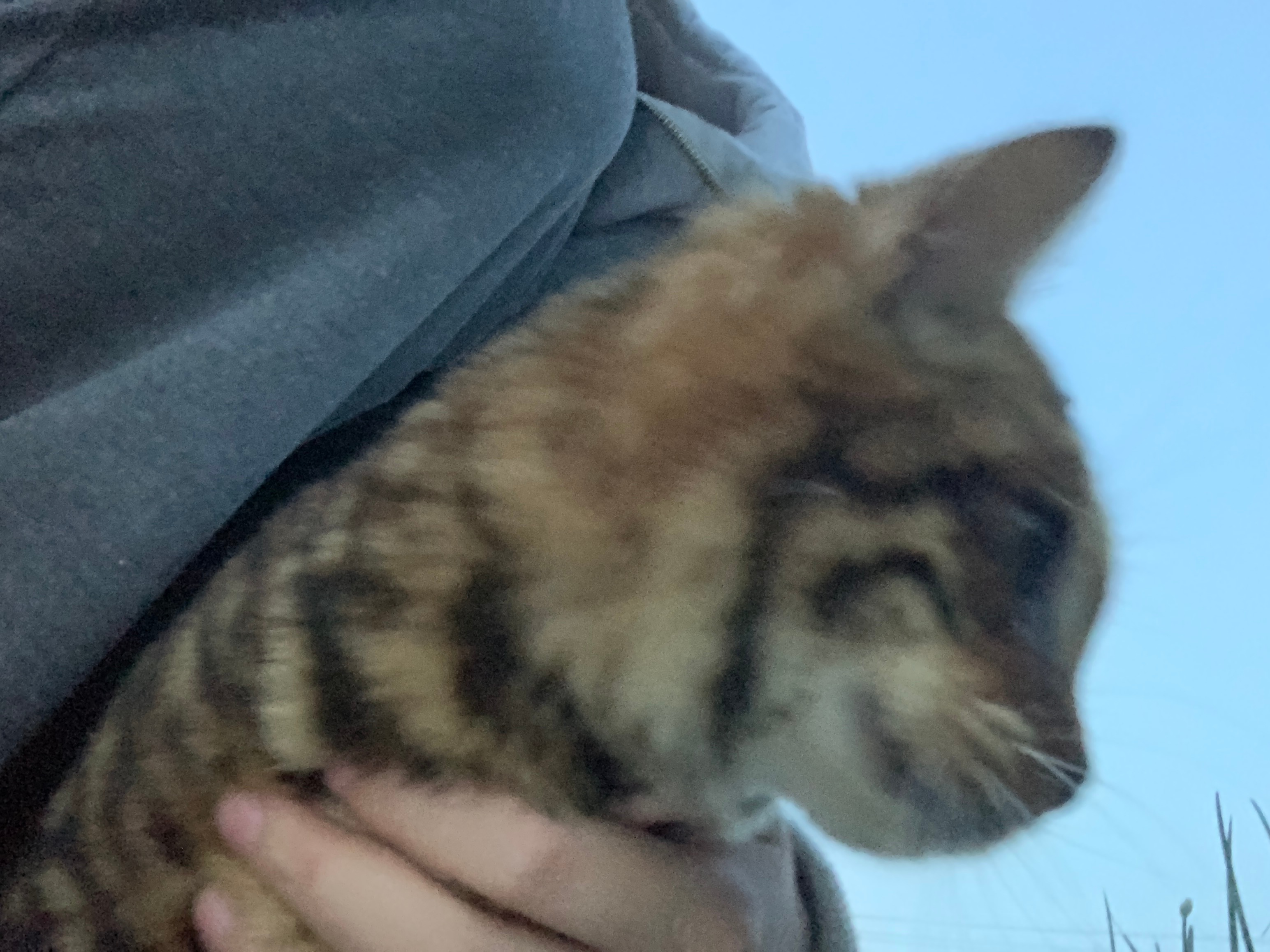 厉害了现在，自己出去跑两圈然后还能自己回到家 