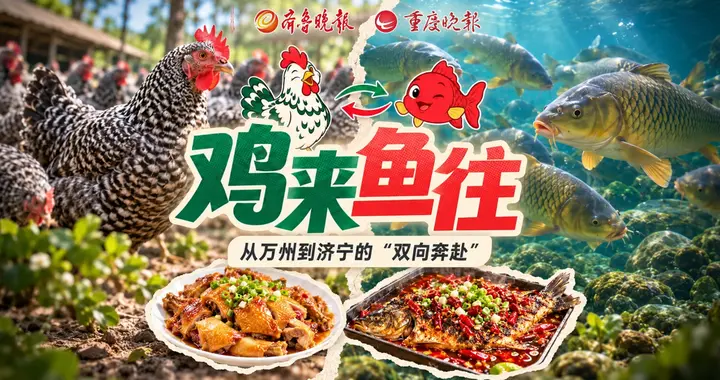 果然视频｜鲁渝协作新答卷：鸡香鱼也鲜，共富山海间