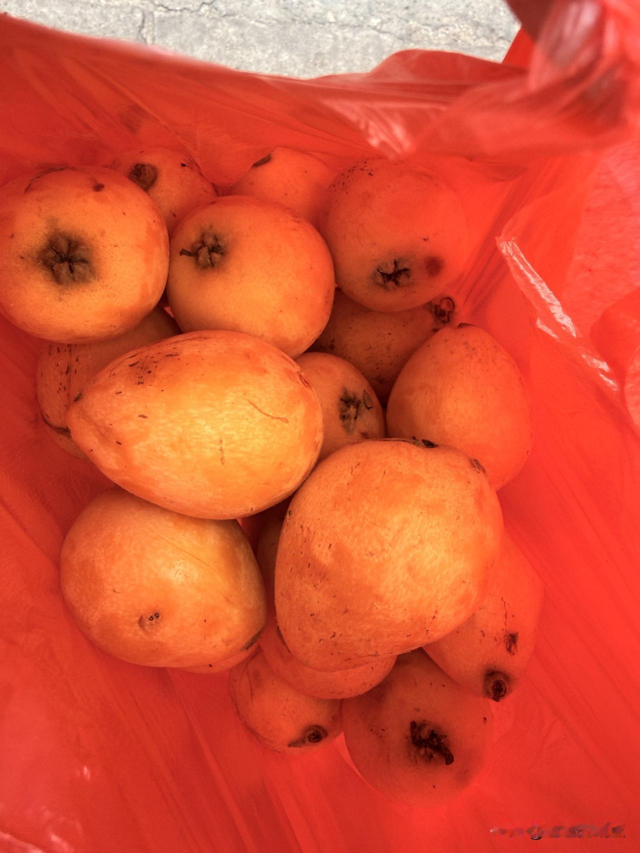 谁懂啊！这袋枇杷也太绝了！

刚买的时候还担心踩雷，结果剥开一个，直接甜到跺脚！