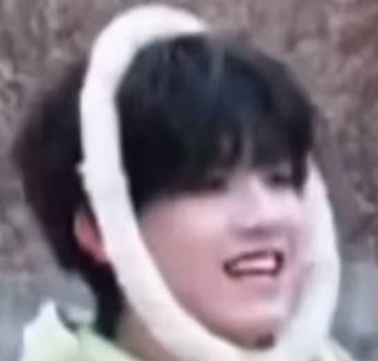 苏新皓一旬老人学网络热梗这个苏新皓看到词条只会在搜索框输入“一旬老人”是什么意思