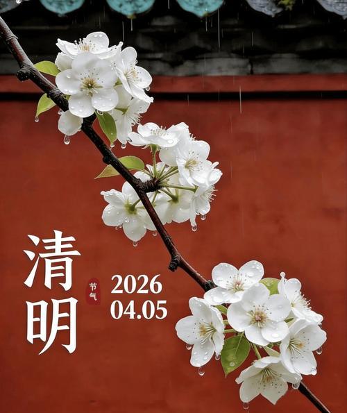 二十四节气中，中国清明节很是特别。一是确定的时间很特别；二是节气与节日“双重身份