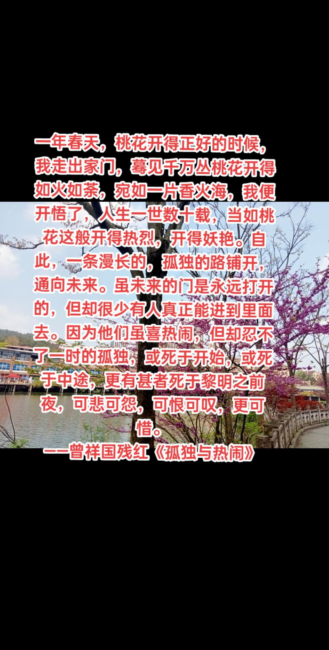 一年春天，桃花开得正好的时候，我走出家门，蓦见千万丛桃花开得如火如荼，宛如一片香