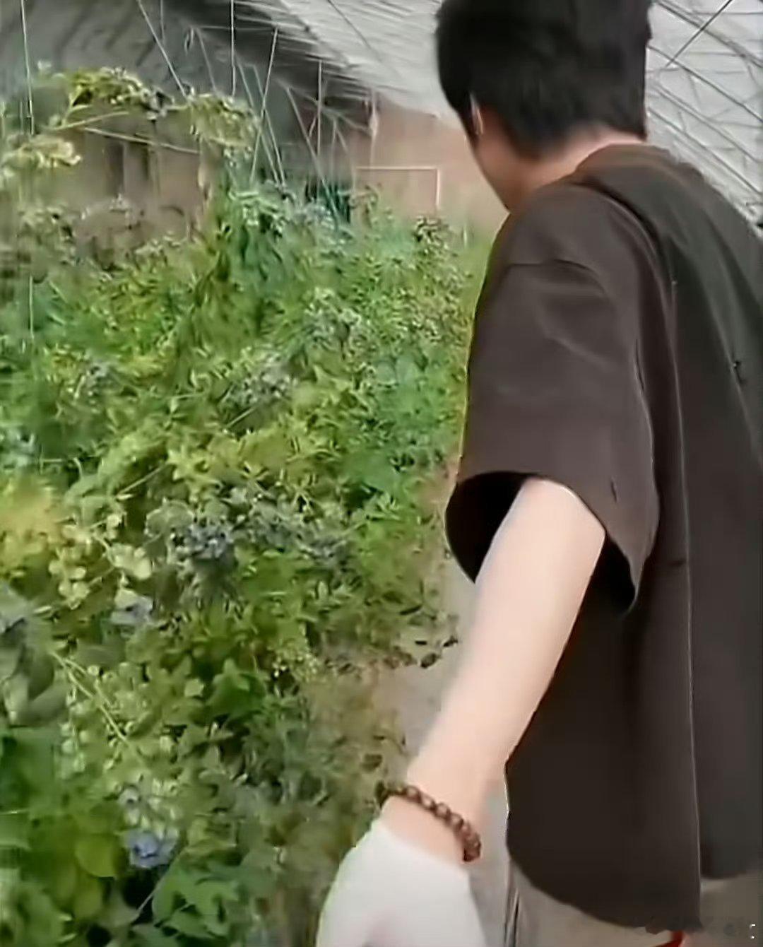 刘耀文有活真干，很难不被干活状态下的刘耀文打动，在综艺里包揽各种琐事，一举一动干