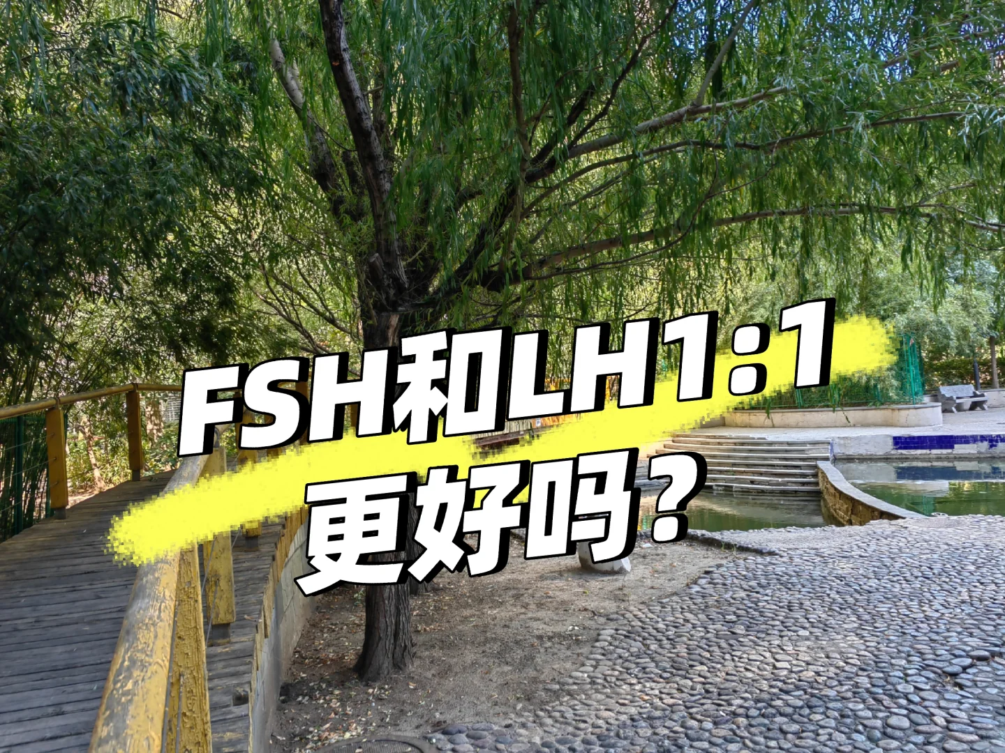 诊间日记—FSH和LH的比值是1:1更好吗？