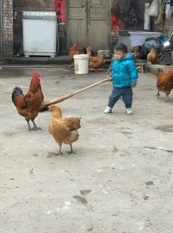 你们真没点眼力，这下可完了[大笑][大笑]